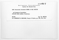 Image Associated With the Occurrence